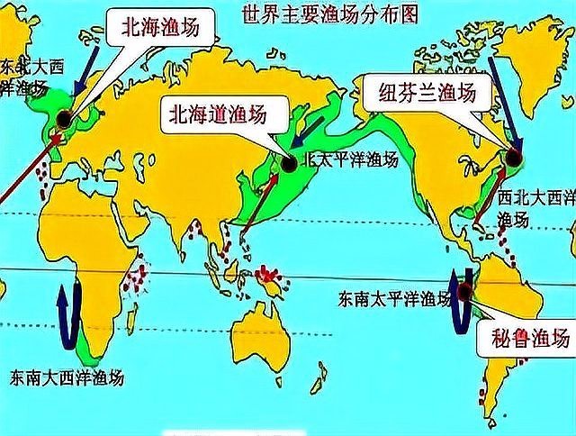 四大漁場哪個消失了【世界四大漁場哪個\