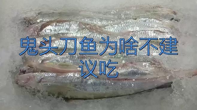 海刀魚為何盡量少吃【專家建議盡量少吃刀魚】