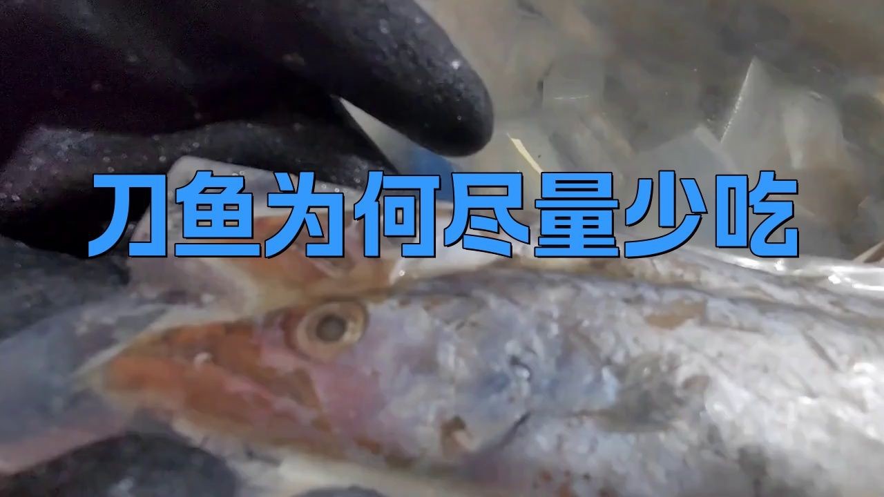 海刀魚為何盡量少吃【專家建議盡量少吃刀魚】