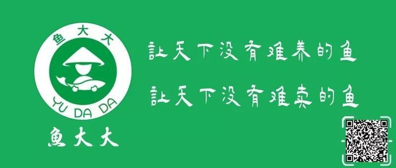 龍魚腹水抽了最簡單處理【龍魚腹水簡單處理】