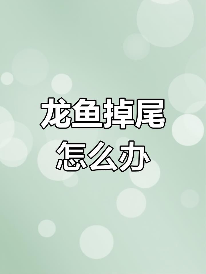 龍魚沉尾能自己恢復嗎？【龍魚沉尾能否恢復取決于具體情況**】
