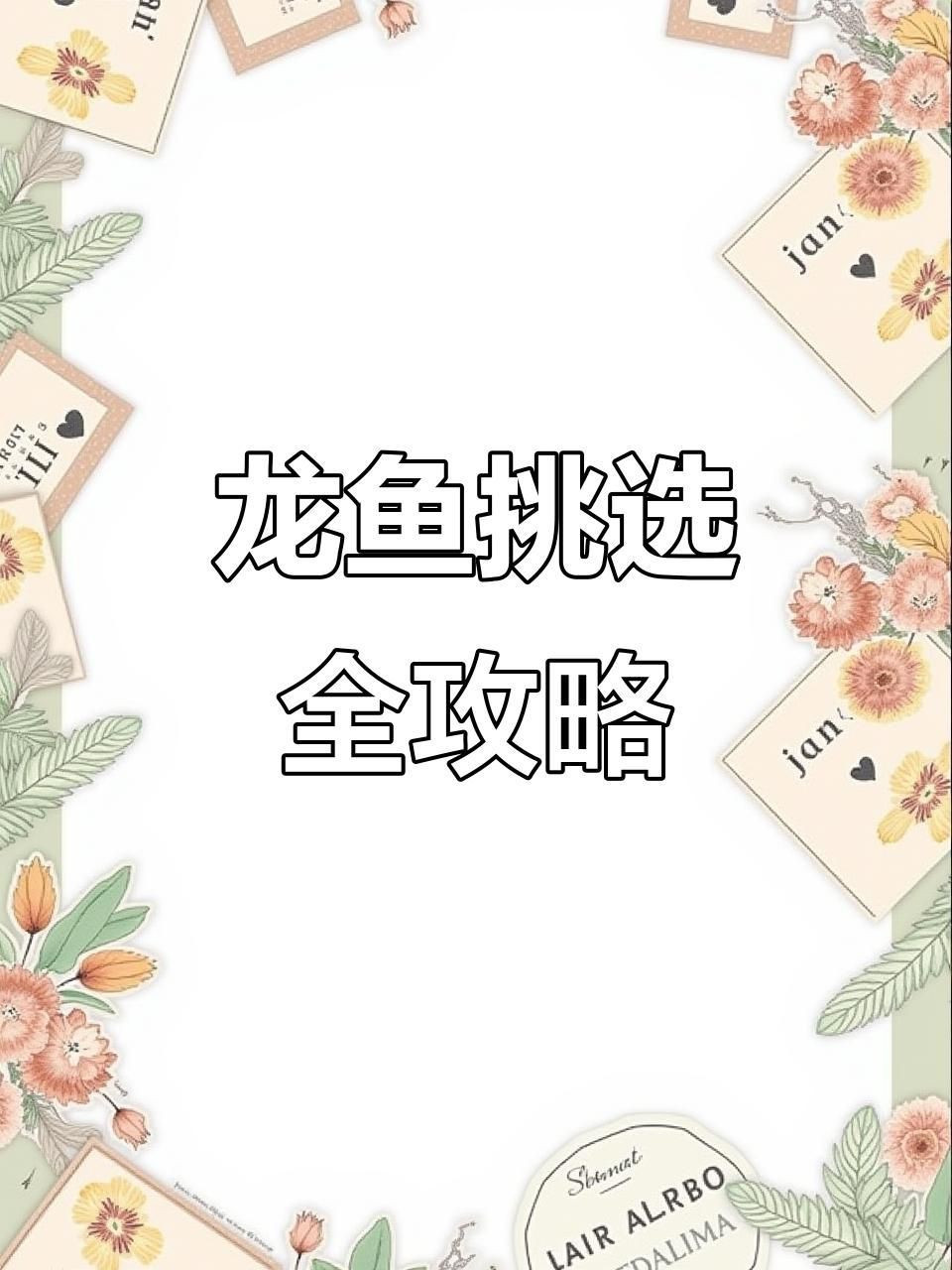 如何挑選健康的龍魚？【多肉寶寶選購龍魚避坑指南:如何挑選三八旺龍魚的潛力股】 如何挑選健康的龍魚？【多肉寶寶選購龍魚避坑指南:如何挑選三八旺龍魚的潛力股】 龍魚百科 第5張
