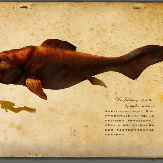 恐龍時(shí)期的魚類【恐龍時(shí)期的魚類主要包括以下幾類代表性物種，或已滅絕】