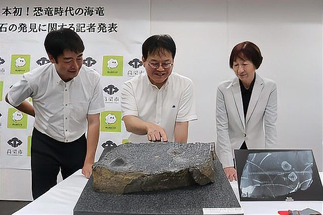 恐龍時(shí)期的魚類【恐龍時(shí)期的魚類主要包括以下幾類代表性物種，或已滅絕】