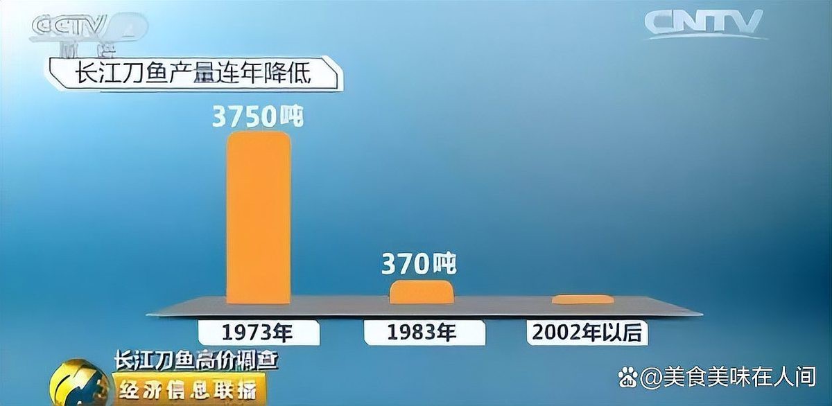 刀魚十大排名【刀魚十大排名及種類】 刀魚十大排名【刀魚十大排名及種類】 龍魚論壇 第1張
