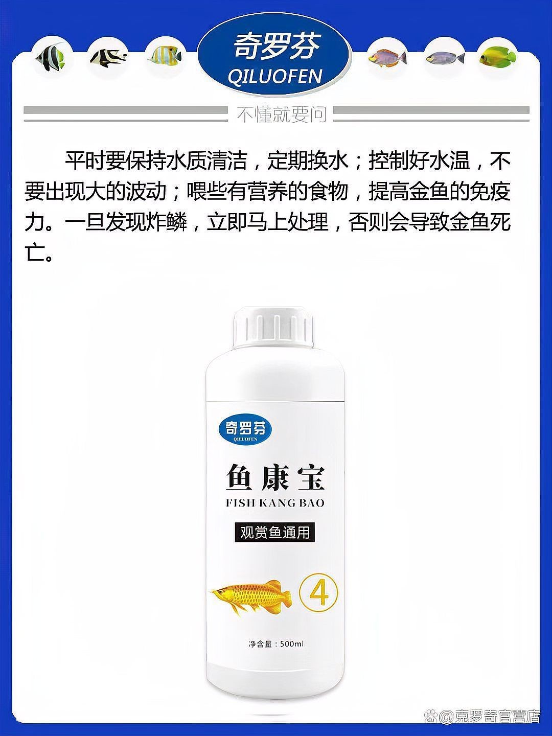 金魚大肚子炸鱗的早期癥狀有哪些？【金魚大肚子炸鱗是怎么回事怎么治療】