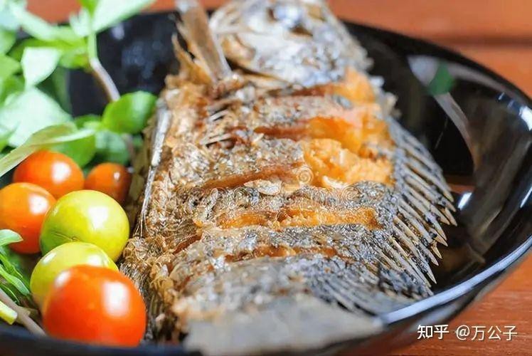 檸檬鯽的毒性有多強知乎【檸檬鯽的毒性問題全面解析:多種中毒模式與防治方法】