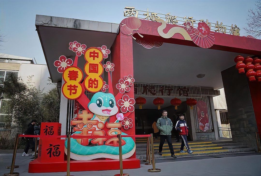 坤桑沉浸式飼養蟒蛇【《坤桑沉浸式飼養蟒蛇》講述了坤桑獨特的養蟒經歷】