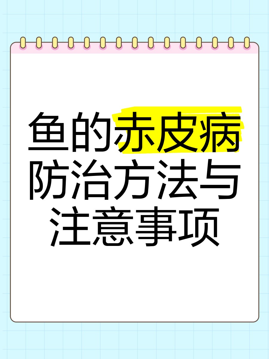 龍魚魚鰭根部充血會(huì)傳染嗎？【魚鰭根部充血是什么病】