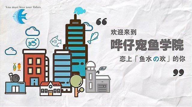 地圖魚有幾種品種【養(yǎng)魚大全，一條地圖魚要價500大洋】 地圖魚有幾種品種【養(yǎng)魚大全，一條地圖魚要價500大洋】 龍魚論壇 第5張