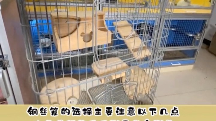 龍貓籠子材質(zhì)哪種最好？【如何給龍貓選籠子】