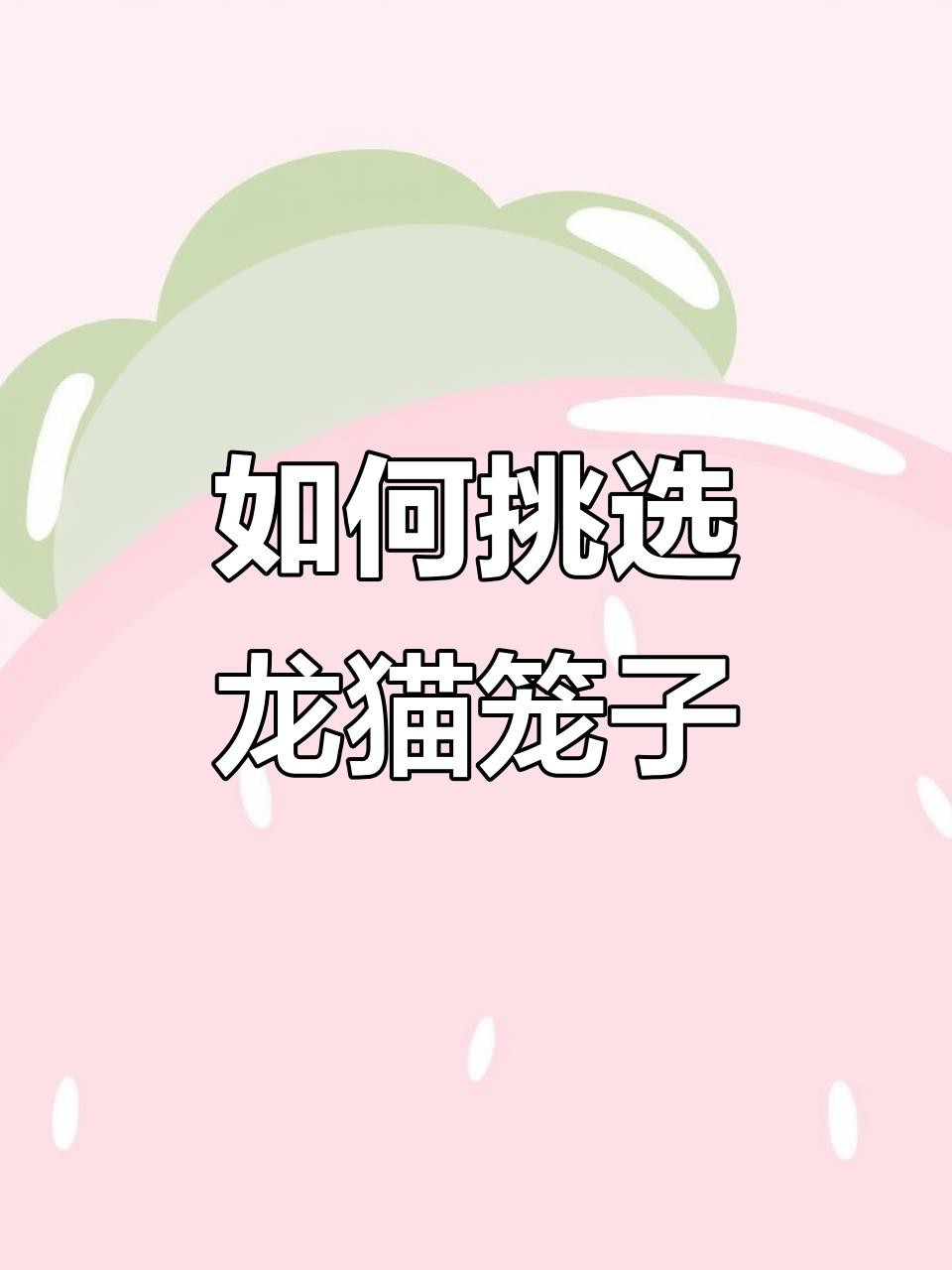 龍貓籠子材質(zhì)哪種最好？【如何給龍貓選籠子】