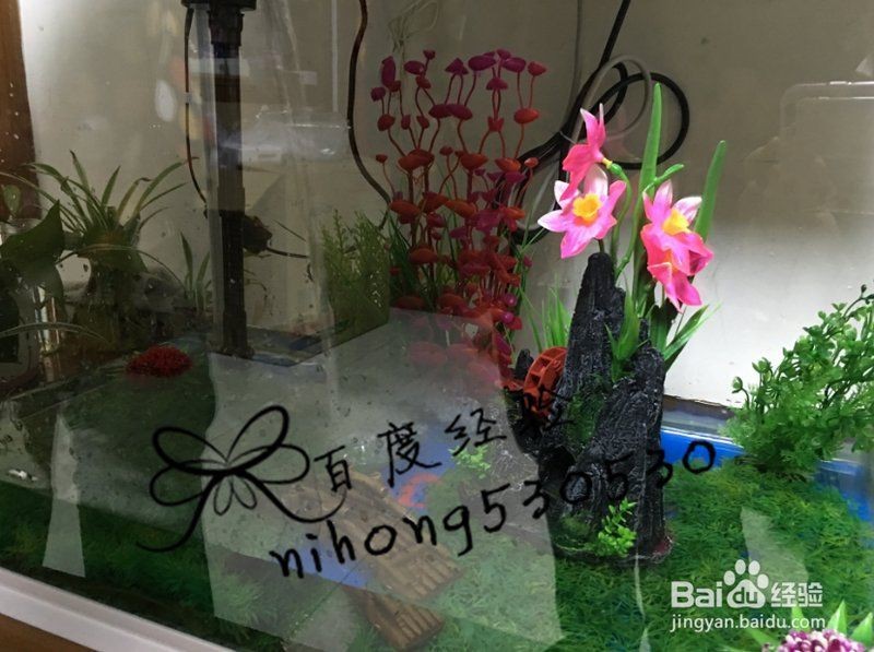 馬印水族魚缸正確安裝方法【印印水族魚缸的正確安裝方法】