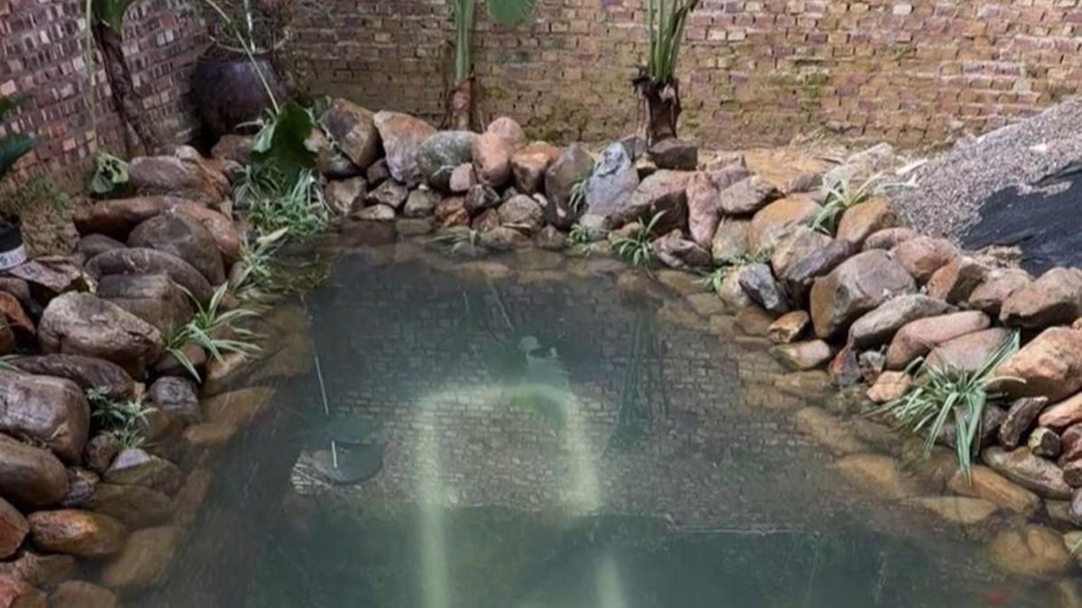 鰻魚和什么魚混養比較好【鰻魚與四大家魚混養技巧揭曉鰻魚可以和什么魚混養嗎】
