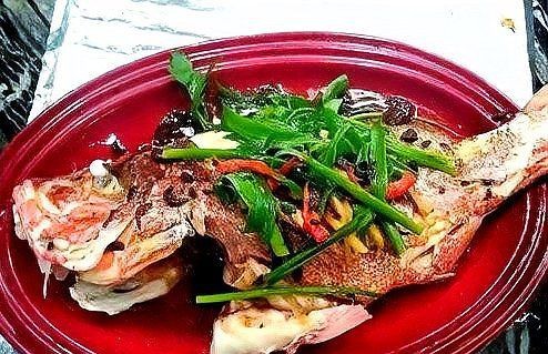紅鲉魚是世界上最臟的魚嗎【紅鲉魚是世界上“最臟的魚”嗎？】
