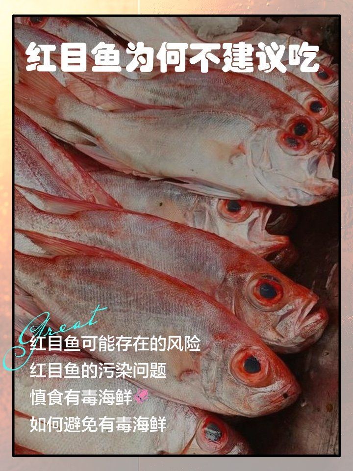 紅鲉魚是世界上最臟的魚嗎【紅鲉魚是世界上“最臟的魚”嗎？】