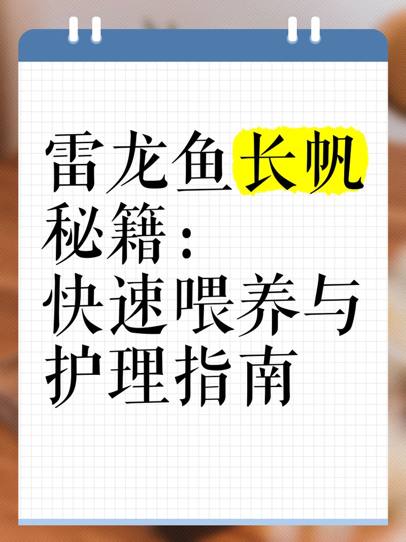 雷龍魚成魚一次喂多少食物？【雷龍魚喂食量多少合適】