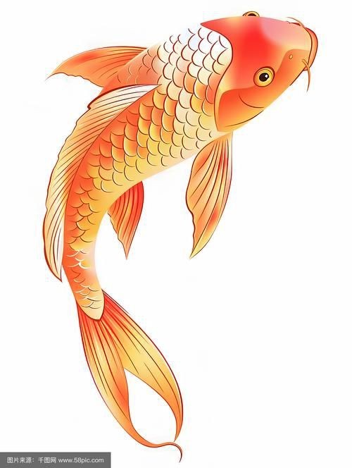 鯉魚圖案大全圖片【《鯉魚圖案大全圖片大全》】