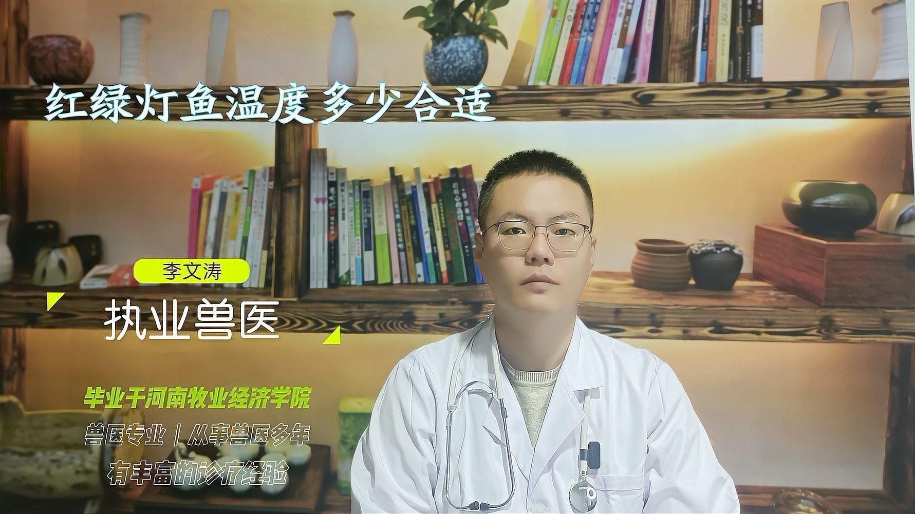 紅綠燈魚溫度多少合適【紅綠燈魚在28度水溫下的適應性】 紅綠燈魚溫度多少合適【紅綠燈魚在28度水溫下的適應性】 龍魚論壇 第3張