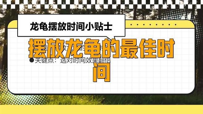 龍龜擺放需要擇日嗎？【龍龜擺放需要擇日嗎сii龍龜擺放最佳時(shí)間數(shù)探杭派】