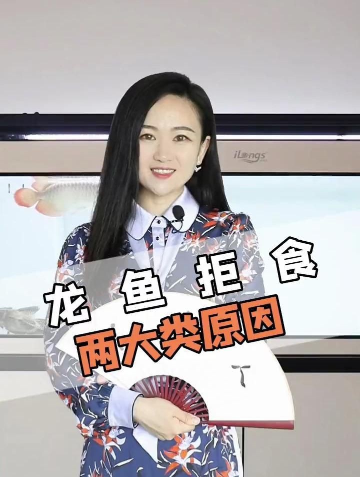 龍魚不吃食能堅持多久【龍魚不吃食能堅持幾個月不吃食會餓死嗎】