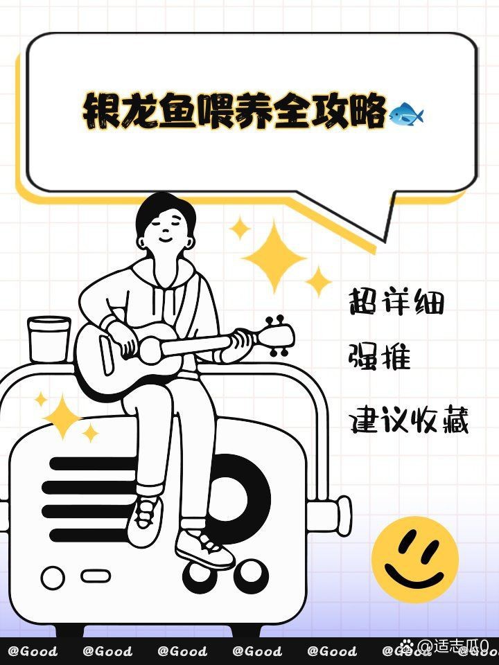紅眼白子銀龍最簡單三個步驟【紅眼白子銀龍的飼養(yǎng)】