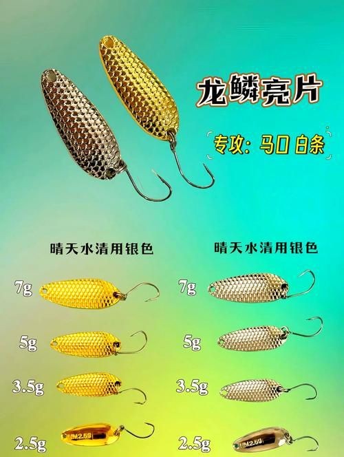 龍魚珠鱗片圖解【如何區分金龍魚品質】