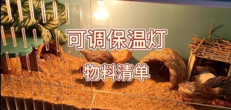 耐高溫200度燈最簡單三個步驟【如何制作耐高溫200度的燈】