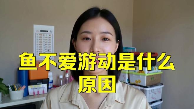 紅龍魚不愛游動最簡單三個原因【龍魚不愛游動可能有三個簡單原因，其一其一，】