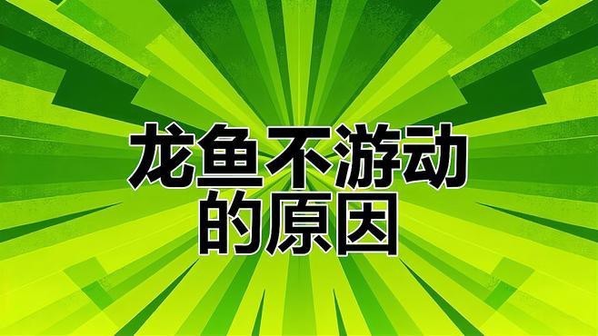 紅龍魚不愛游動最簡單三個原因【龍魚不愛游動可能有三個簡單原因，其一其一，】