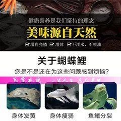 蝴蝶鯉魚糧排名前十名【2025年蝴蝶鯉魚糧排名前十名】 蝴蝶鯉魚糧排名前十名【2025年蝴蝶鯉魚糧排名前十名】 龍魚論壇 第17張