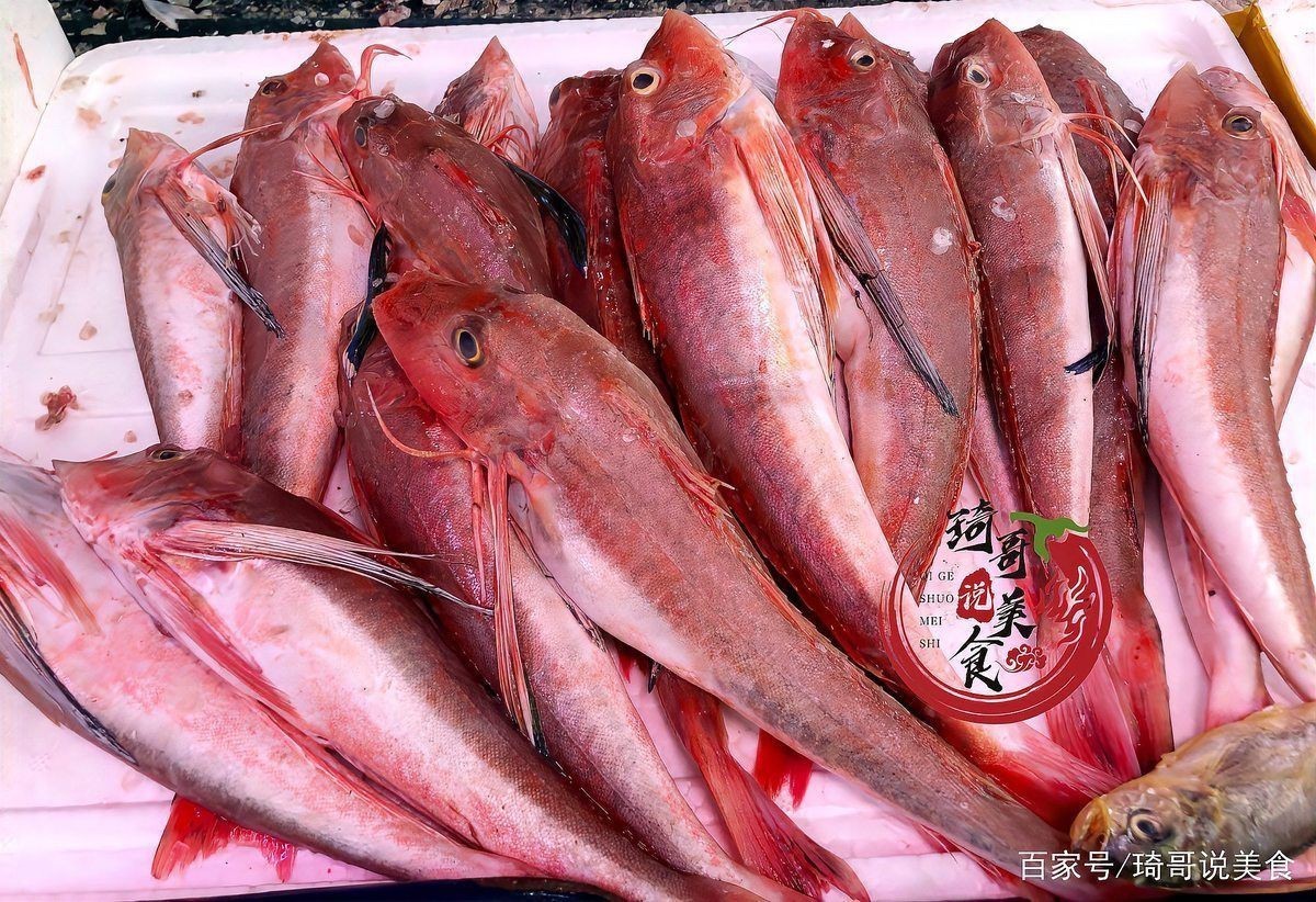 紅娘魚紅頭魚是深海魚嗎【紅娘魚和紅頭魚并非嚴(yán)格意義上的深海魚】 紅娘魚紅頭魚是深海魚嗎【紅娘魚和紅頭魚并非嚴(yán)格意義上的深海魚】 龍魚論壇 第19張