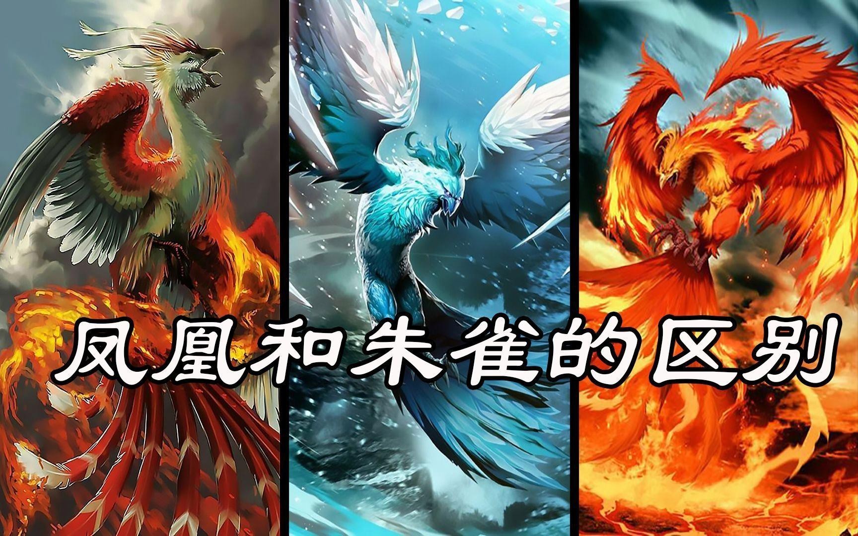 鳳凰和朱雀誰更高貴【鳳凰與朱雀哪個地位更高】