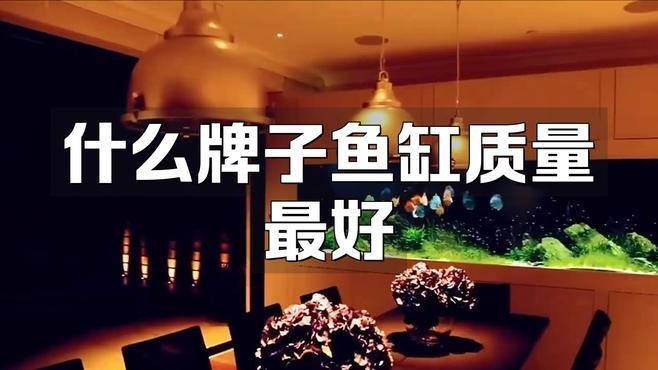 德國有哪些水族箱品牌【德國主要水族箱品牌介紹】