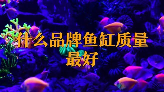 德國有哪些水族箱品牌【德國主要水族箱品牌介紹】