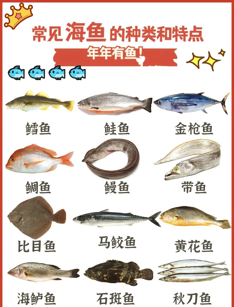鰈魚是海魚還是淡水魚呢【深海鰈魚大揭秘】