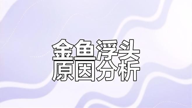 如何判斷金魚浮頭是否缺氧？【金魚浮頭一定是缺氧了嗎】 如何判斷金魚浮頭是否缺氧？【金魚浮頭一定是缺氧了嗎】 龍魚百科 第3張