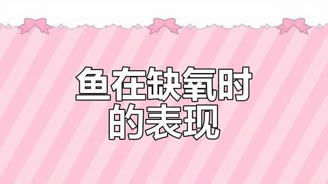 如何判斷金魚浮頭是否缺氧？【金魚浮頭一定是缺氧了嗎】 如何判斷金魚浮頭是否缺氧？【金魚浮頭一定是缺氧了嗎】 龍魚百科 第2張