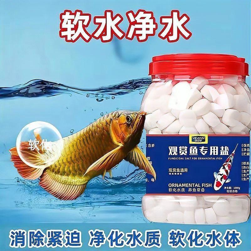 海鹽水族觀賞魚專用鹽【《海鹽水族觀賞魚專用鹽：守護魚兒健康的秘訣》】
