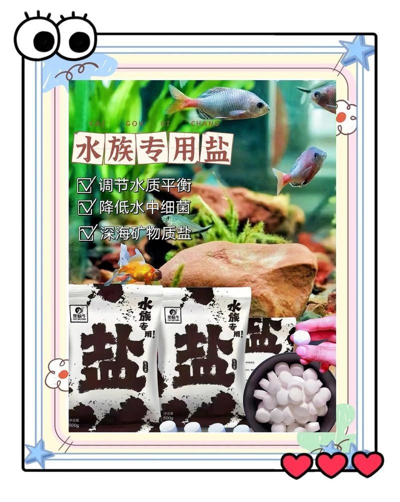 海鹽水族觀賞魚專用鹽【《海鹽水族觀賞魚專用鹽：守護魚兒健康的秘訣》】