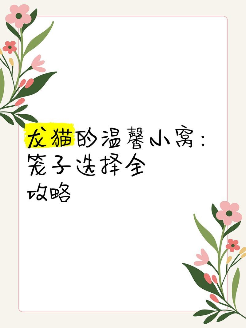 龍貓籠養需要多大的空間？ 龍貓籠養需要多大的空間？ 龍魚百科 第2張