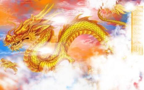 招財(cái)龍圖片在哪些行業(yè)應(yīng)用較多？【招財(cái)龍圖片的應(yīng)用行業(yè)主要集中在以下幾個(gè)領(lǐng)域在以下領(lǐng)域】 招財(cái)龍圖片在哪些行業(yè)應(yīng)用較多？【招財(cái)龍圖片的應(yīng)用行業(yè)主要集中在以下幾個(gè)領(lǐng)域在以下領(lǐng)域】 龍魚(yú)百科 第5張