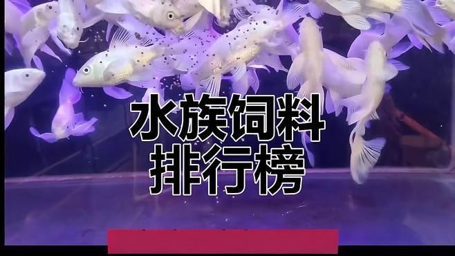 觀賞魚飼料十大品牌