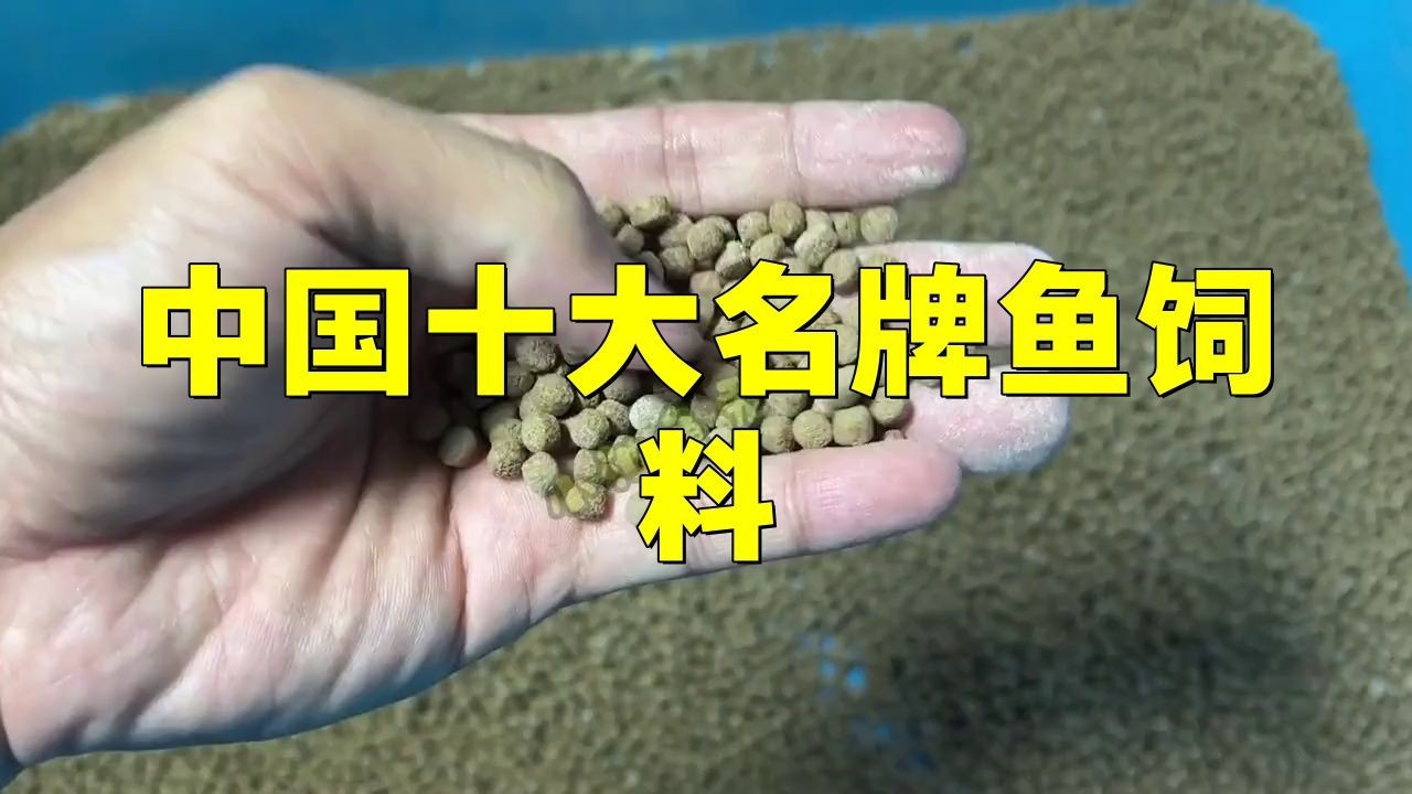 觀賞魚飼料十大品牌