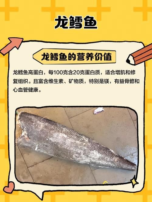 龍鱈魚圖片【江曉晨初見便傾心,龍鱈魚南橙挑水果】