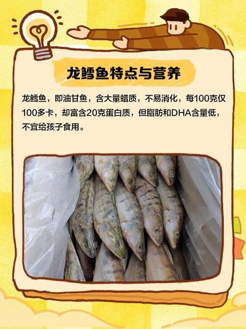 龍鱈魚圖片【江曉晨初見便傾心,龍鱈魚南橙挑水果】
