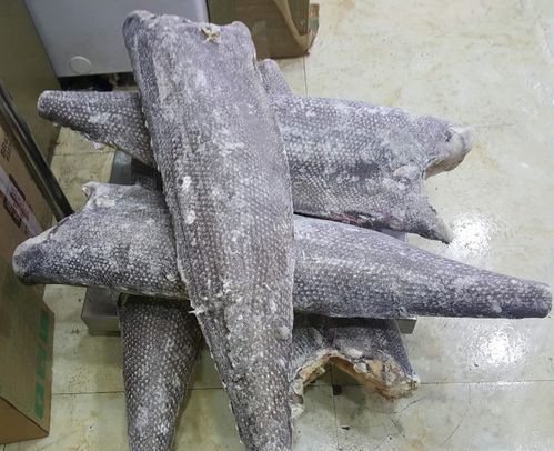 龍鱈魚圖片【江曉晨初見便傾心,龍鱈魚南橙挑水果】
