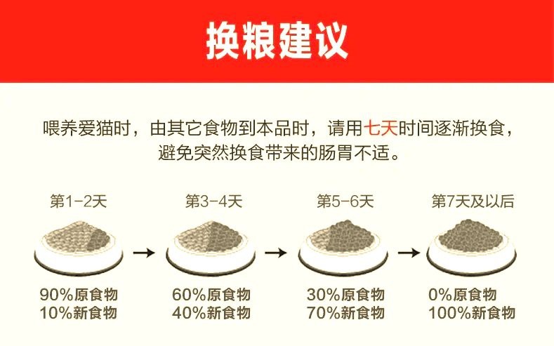 龍貓換糧時需要注意什么？【新手龍貓怎么換糧】