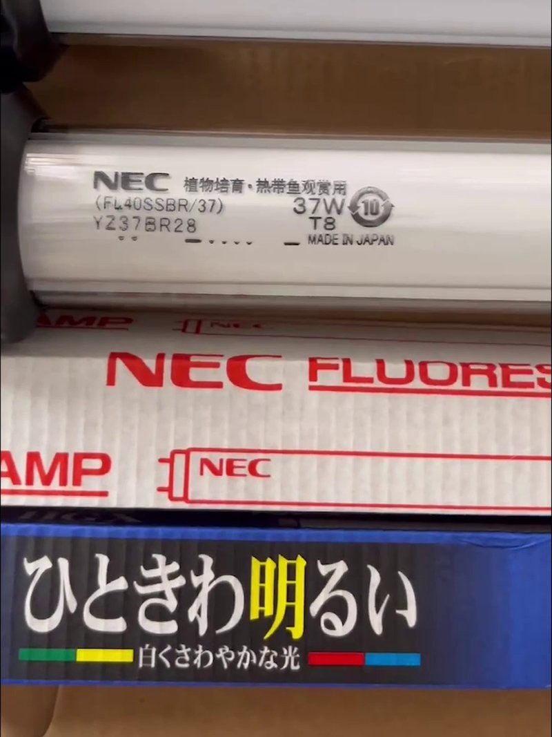 龍魚多大換6700k合適【wx_he793402,養龍魚的你真的選對燈了嗎】