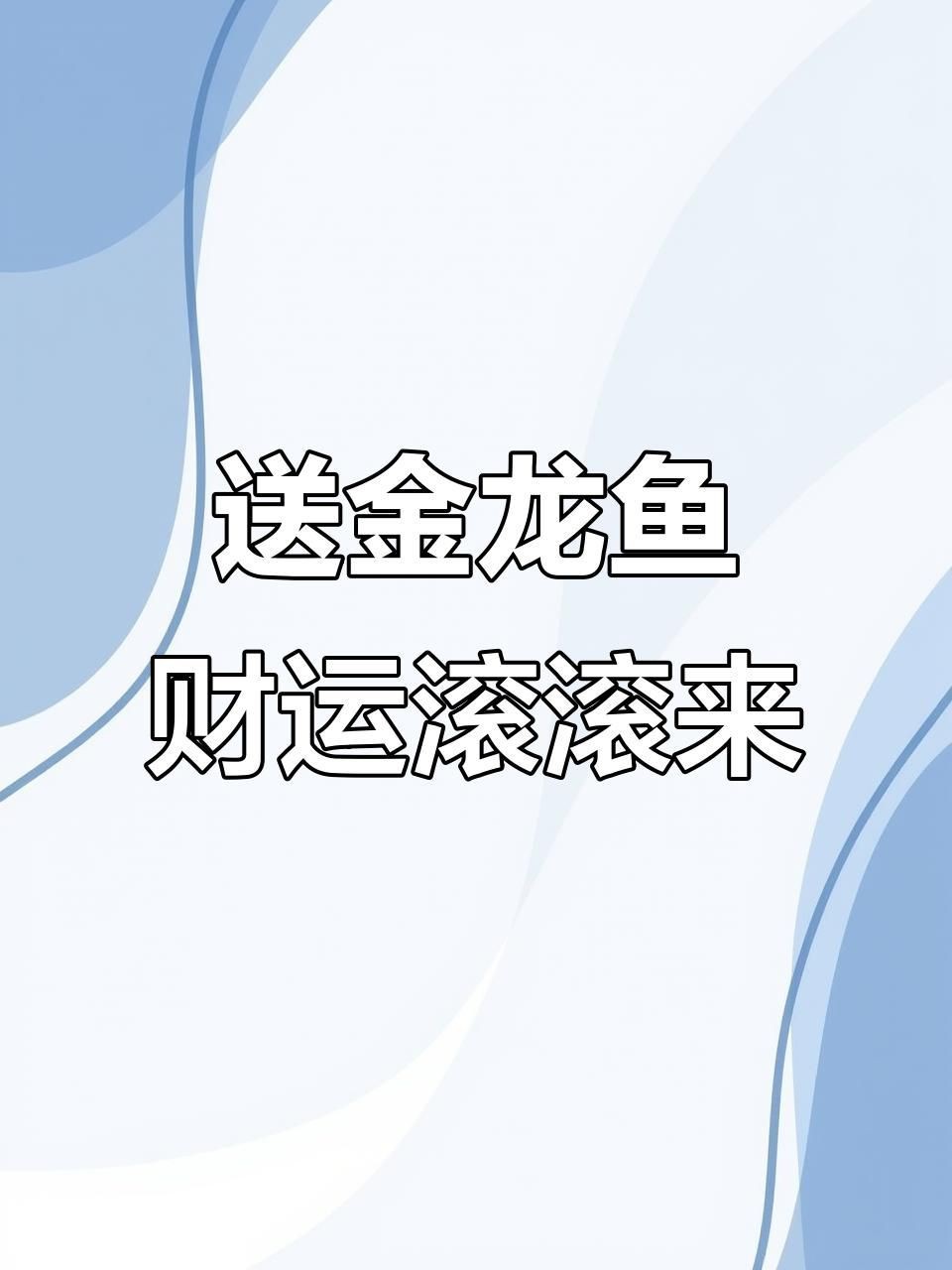 金龍魚和紅龍魚哪個招財【金龍魚和紅龍魚養幾條最招財風水與財運的完美結合】